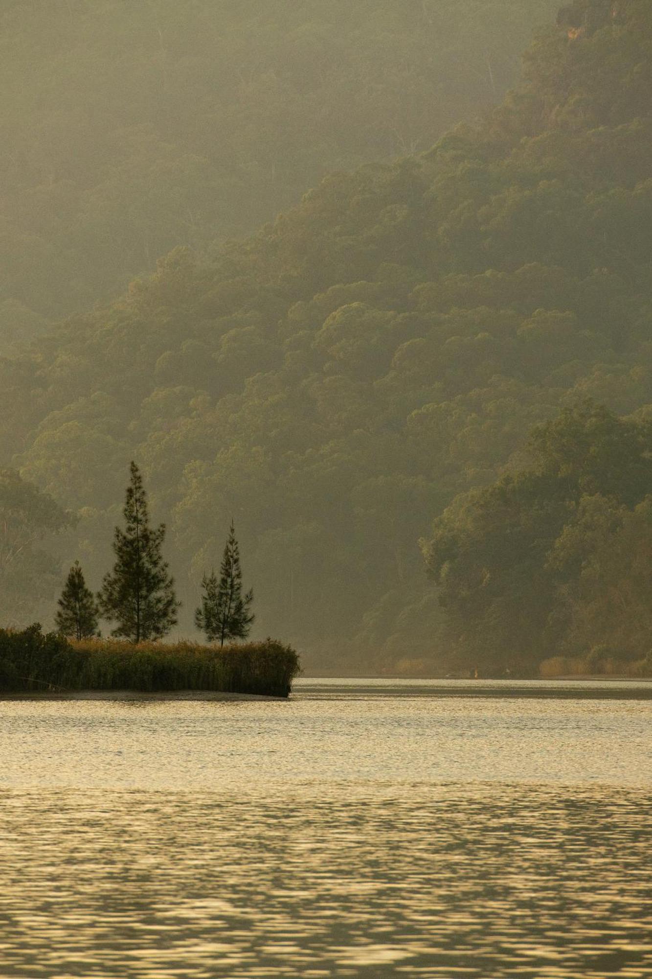 Wisemans Retreat Μοτέλ Wisemans Ferry Εξωτερικό φωτογραφία