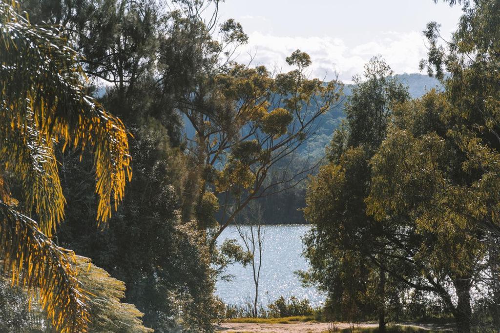Wisemans Retreat Μοτέλ Wisemans Ferry Εξωτερικό φωτογραφία
